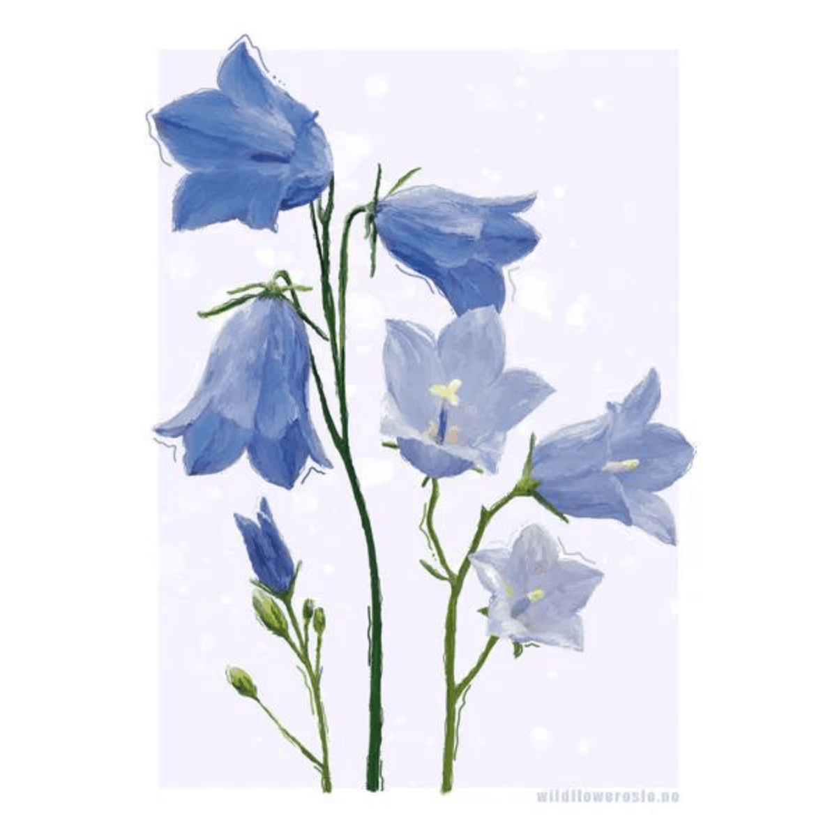 Kort blomster #0104