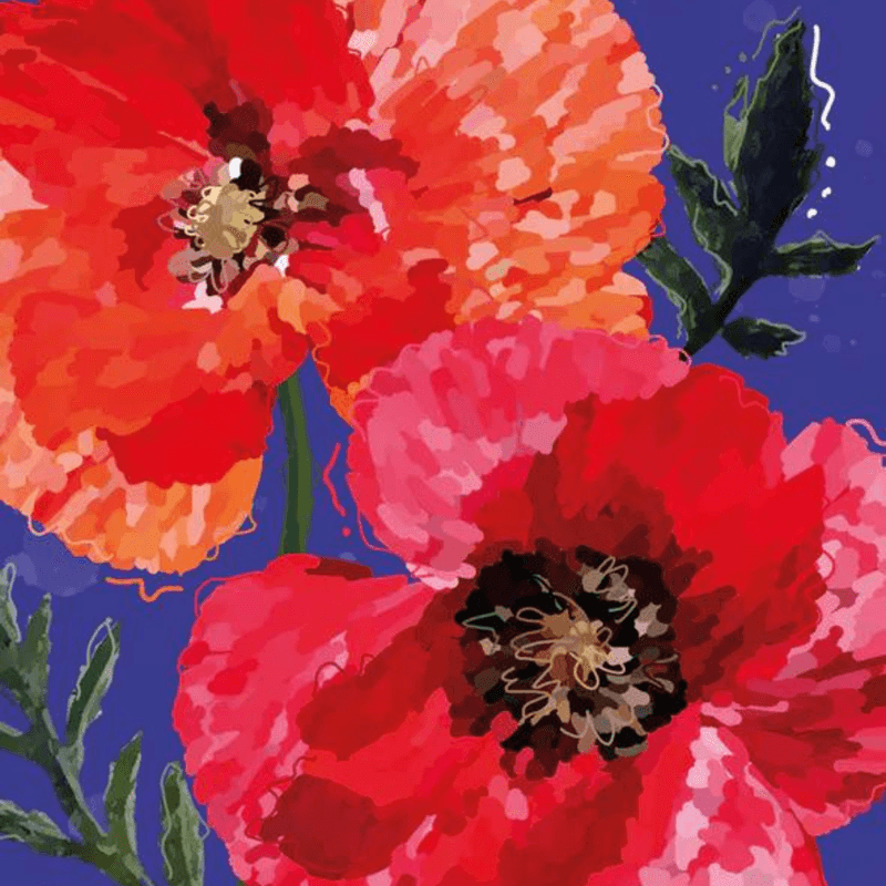 Plakat 0034