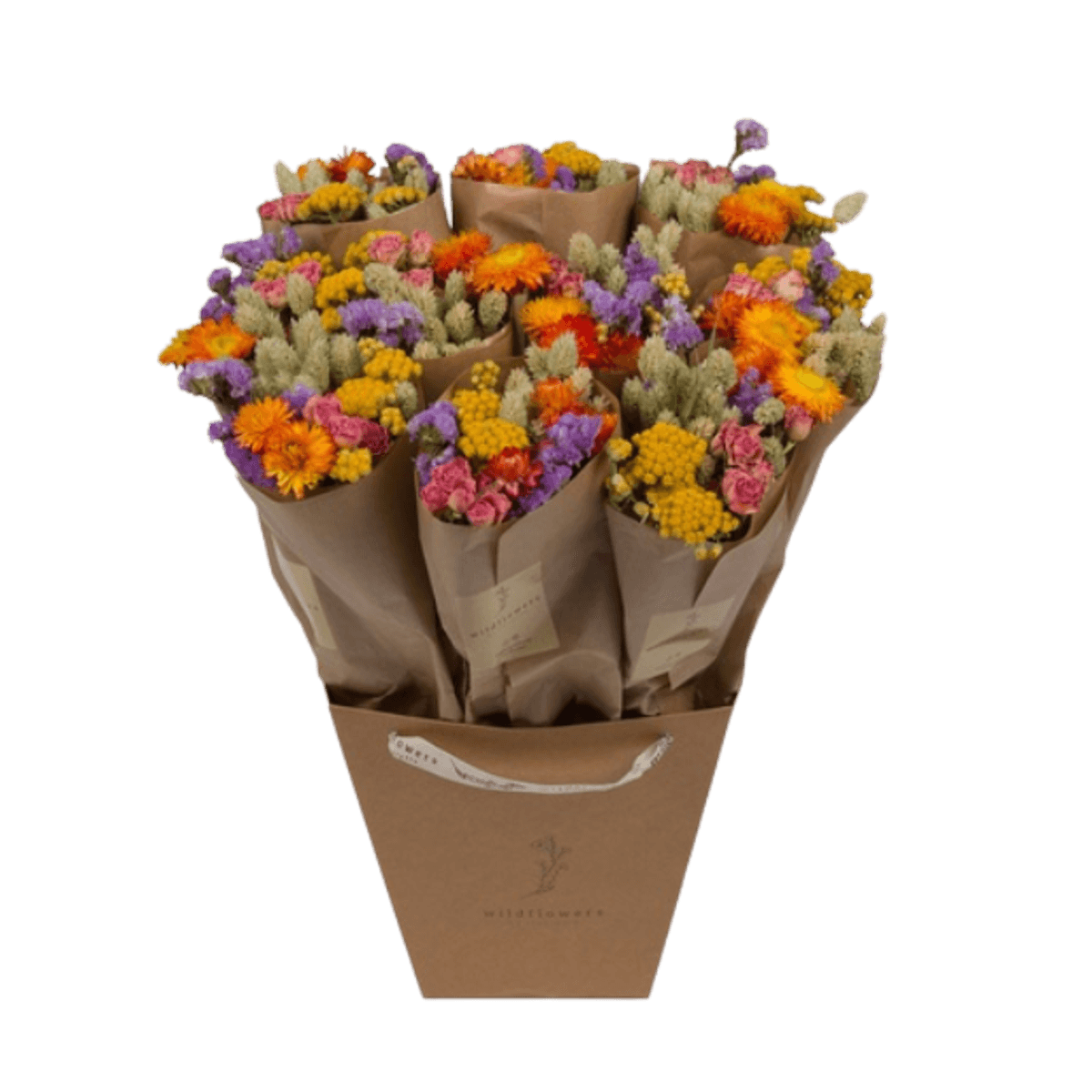  Dried Flowers - Bouquet - Multi