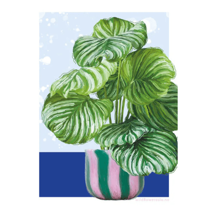 Hovedbilde Kort blomster #0108