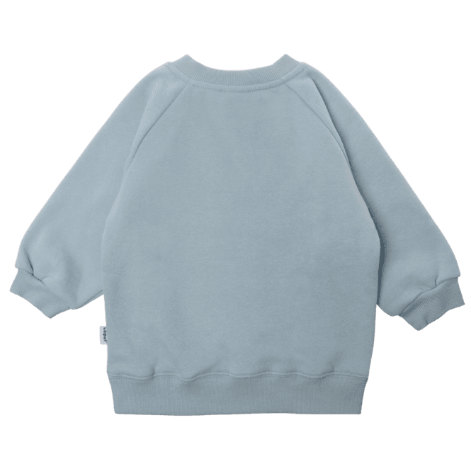 Hovedbilde Sweatshirt lyseblå 