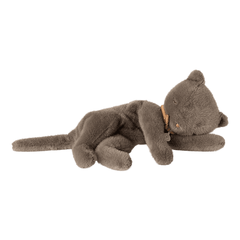Sovende katt - grå