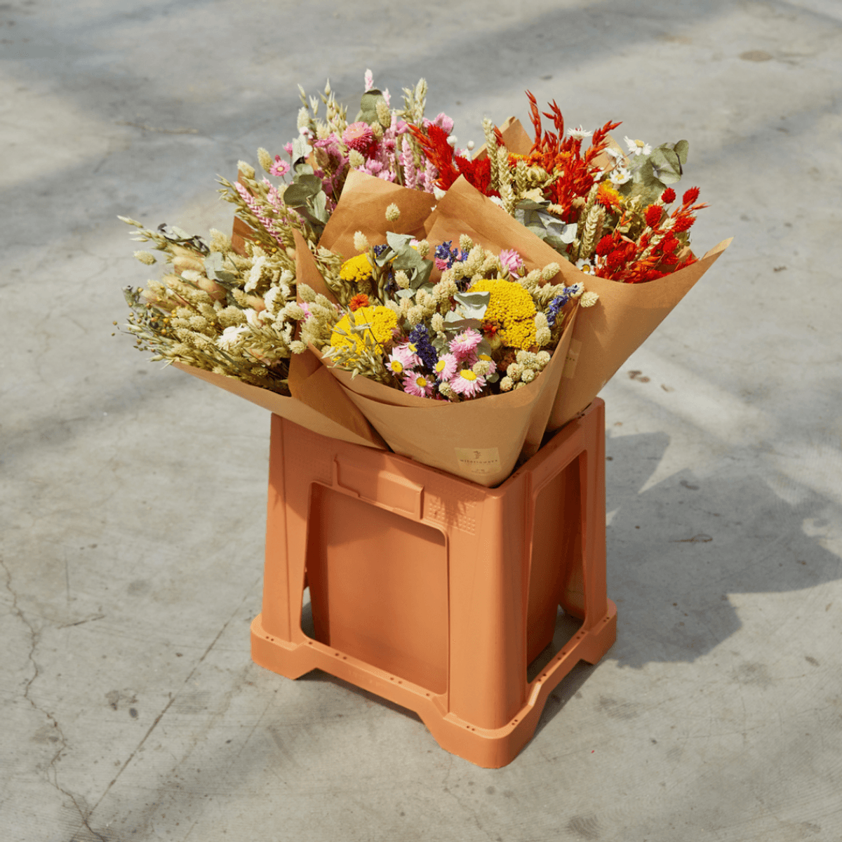 Dried Flowers - Classic Bouquet - Oransj