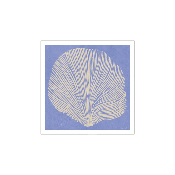 Hovedbilde Poster og ramme - Sea Lavender