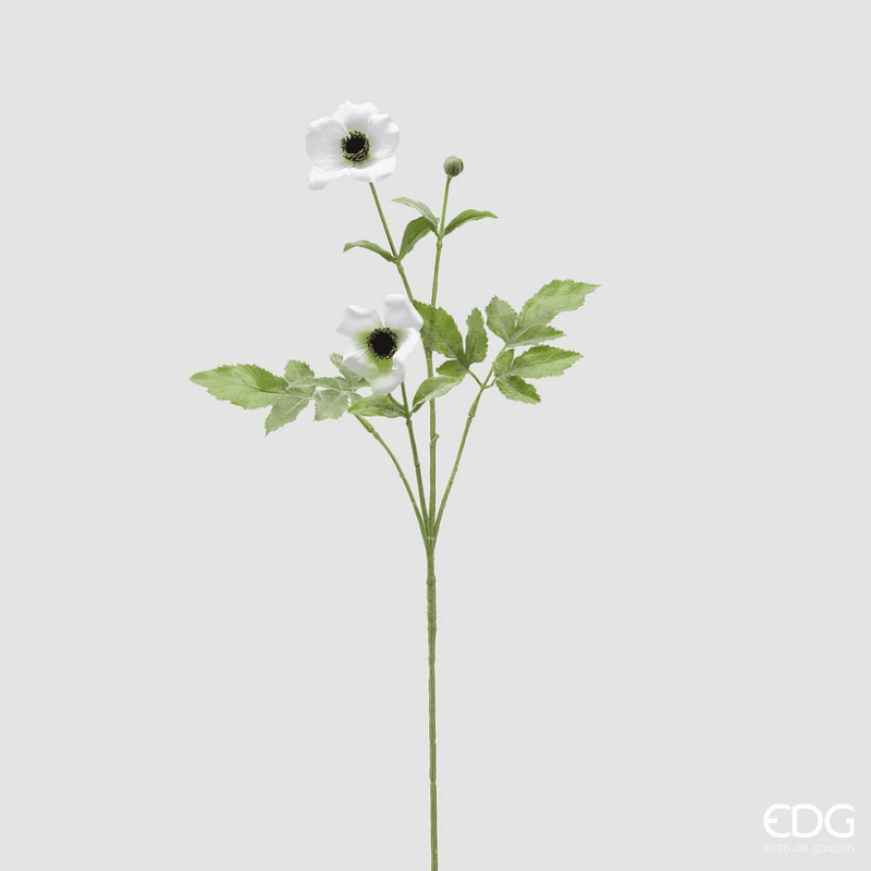 Anemone, Hvit, 70 cm